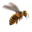 compagnon-abeille.png?2094481059