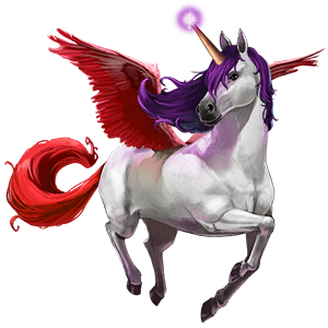 cavalo divino bellacórnio