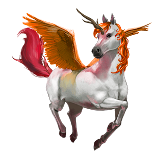cavalo divino bellacórnio