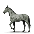 cavalo de trabalho fome
