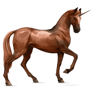 unicórnio de passeio cavalo Árabe castanho cereja