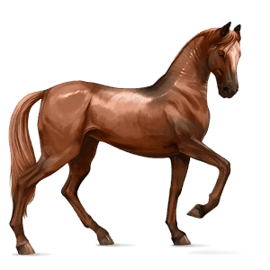 cavalo de passeio paint horse tovero palomino