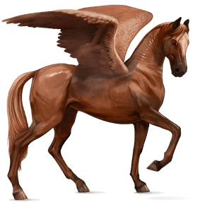 pégaso de passeio akhal-teke lazão