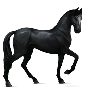 cavalo de passeio puro sangue inglês lazão crinalvo 