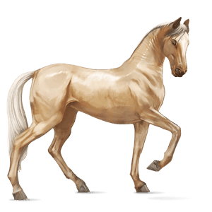 cavalo de passeio mangalarga marchador ruão-rosilho