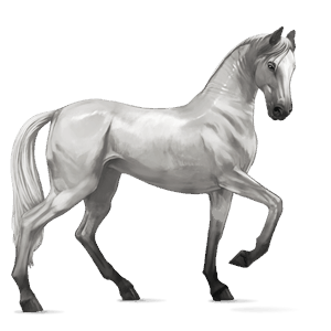 cavalo de passeio akhal-teke ruço
