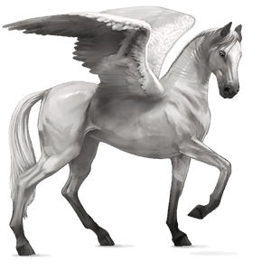 pégaso de passeio akhal-teke ruço