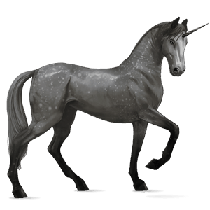 unicórnio de passeio akhal-teke baio