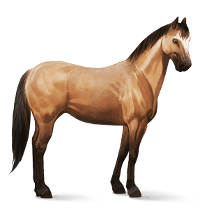 cavalo de passeio puro sangue inglês ruço