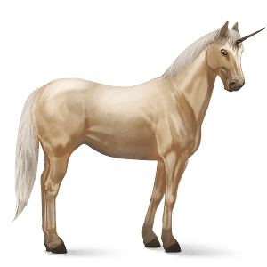 unicórnio de passeio kwpn palomino