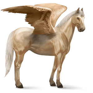 pégaso de passeio paint horse overo castanho 