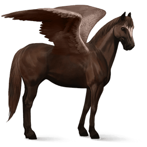 pégaso de passeio cavalo de sela alemã castanho escuro