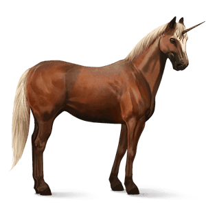 unicórnio de passeio cavalo andaluso pardo rato