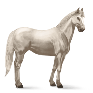 cavalo de passeio puro sangue lusitano lazão escuro