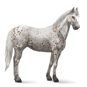 cavalo de passeio camargue ruço