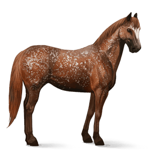 cavalo de passeio tennessee walker lazão escuro