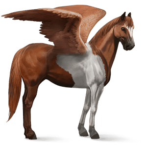 pégaso de passeio paint horse tobiano lazão