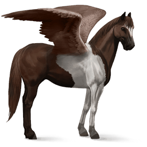 pégaso de passeio puro sangue lusitano palomino