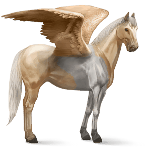 pégaso de passeio paint horse tobiano palomino