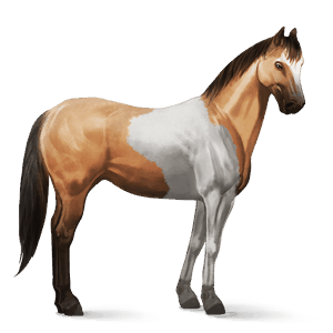 cavalo de passeio tennessee walker palomino