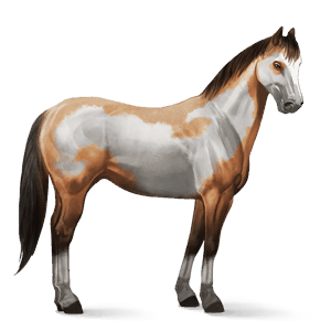 cavalo de passeio puro sangue inglês lazão escuro crinalvo 