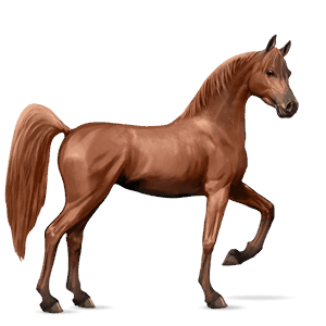 cavalo de passeio lazão escuro