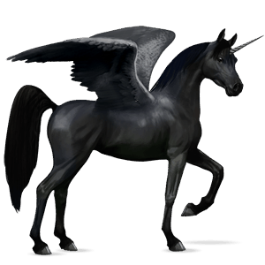 unicórnio de passeio alado cavalo Árabe preto