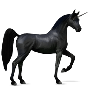 unicórnio de passeio akhal-teke preto