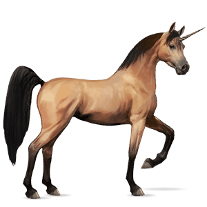 unicórnio de passeio cavalo Árabe baio