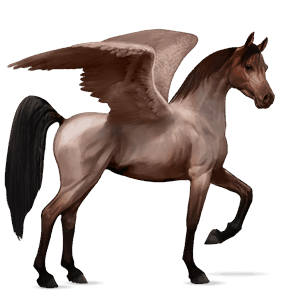 pégaso de passeio cavalo Árabe ruão