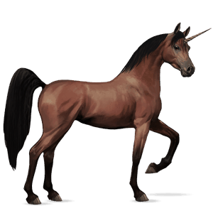 unicórnio de passeio cavalo Árabe castanho