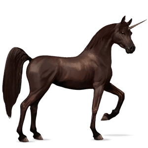 unicórnio de passeio lazão escuro