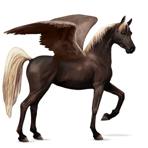 pégaso de passeio tennessee walker castanho escuro