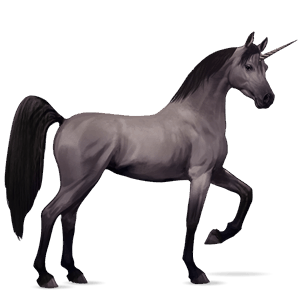 unicórnio de passeio cavalo andaluso pardo rato