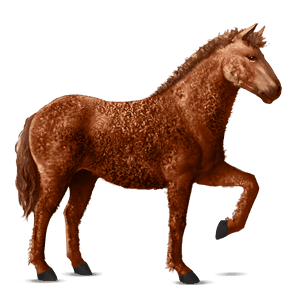 cavalo de passeio frísio preto
