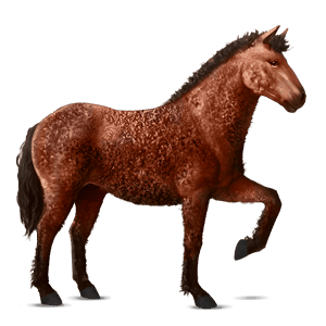 cavalo de passeio holstein ruço