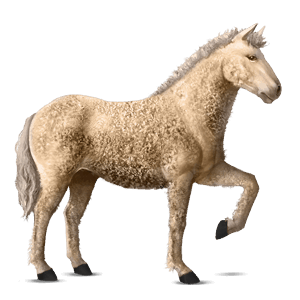 cavalo de passeio baio