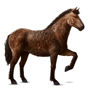 cavalo de passeio cavalo don russo lazão escuro