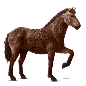 cavalo de passeio lipizzano ruço