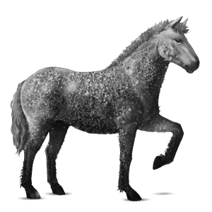 cavalo de passeio puro sangue lusitano lazão