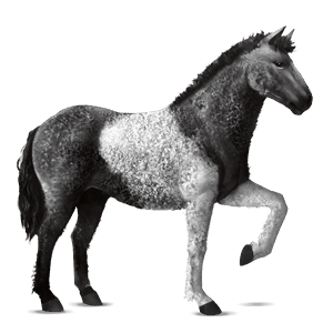 cavalo de passeio crioulo argentino tobiano com manchas pretas