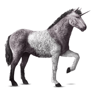 unicórnio de passeio curly tobiano pardo rato