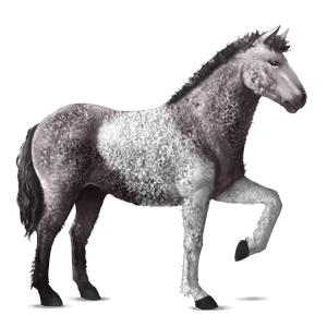 cavalo de passeio lipizzano ruço pigarço