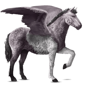 pégaso de passeio curly tobiano pardo rato