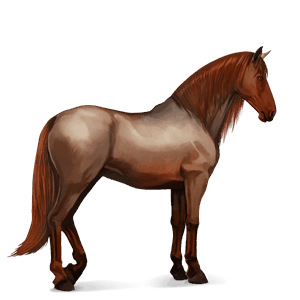 cavalo de passeio ruão-rosilho