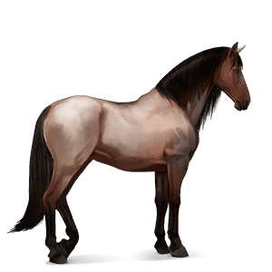 cavalo de passeio frísio preto