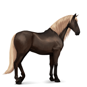 cavalo de passeio lipizzano ruço