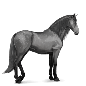 cavalo de passeio tennessee walker castanho cereja
