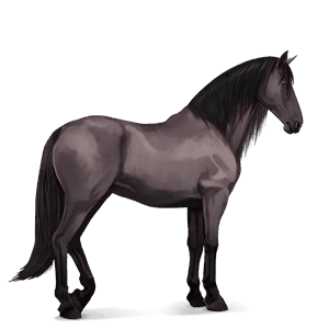 cavalo de passeio mangalarga marchador ruão