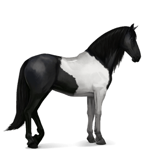 cavalo de passeio puro sangue lusitano ruço pigarço